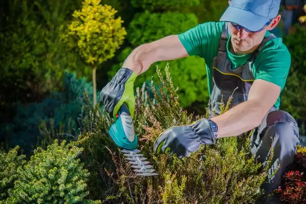 landscaping services Deer Park